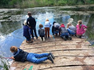 Den Fröschen und Kröten auf der Spur