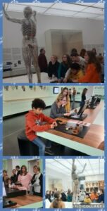 Kursfahrt nach Dresden